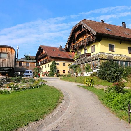 Bio Archehof Zachhiesen Διαμέρισμα Seekirchen am Wallersee Εξωτερικό φωτογραφία
