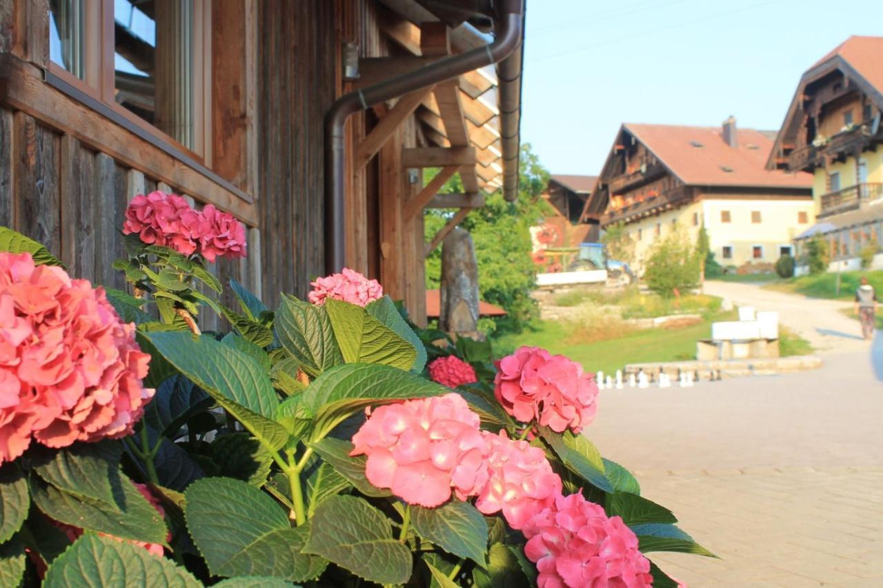 Bio Archehof Zachhiesen Διαμέρισμα Seekirchen am Wallersee Εξωτερικό φωτογραφία