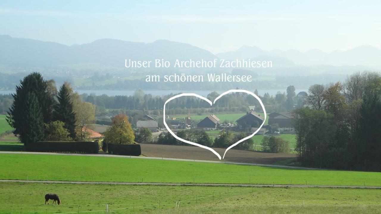 Bio Archehof Zachhiesen Διαμέρισμα Seekirchen am Wallersee Εξωτερικό φωτογραφία