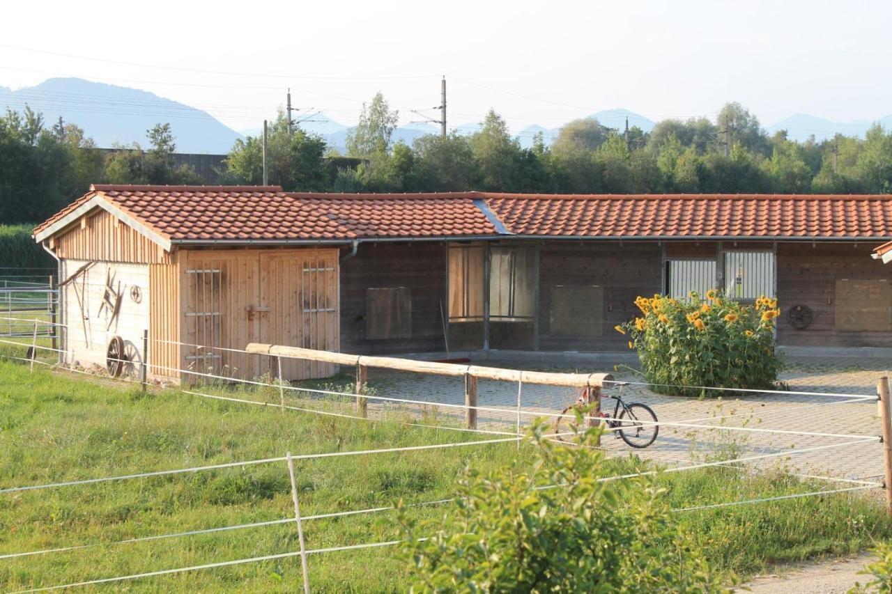 Bio Archehof Zachhiesen Διαμέρισμα Seekirchen am Wallersee Εξωτερικό φωτογραφία