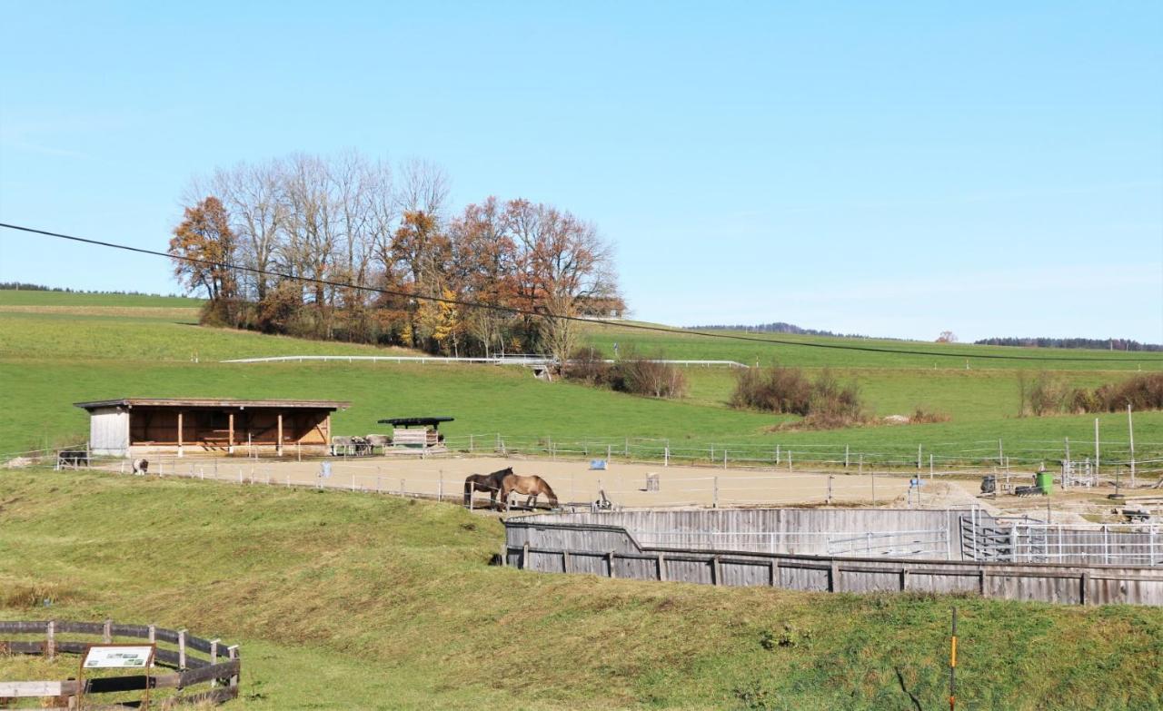 Bio Archehof Zachhiesen Διαμέρισμα Seekirchen am Wallersee Εξωτερικό φωτογραφία